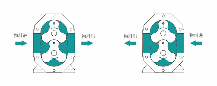 轉(zhuǎn)子泵試車注意事項